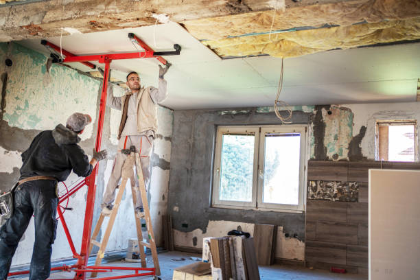 Best Specialized Insulation Services in Forest, VA