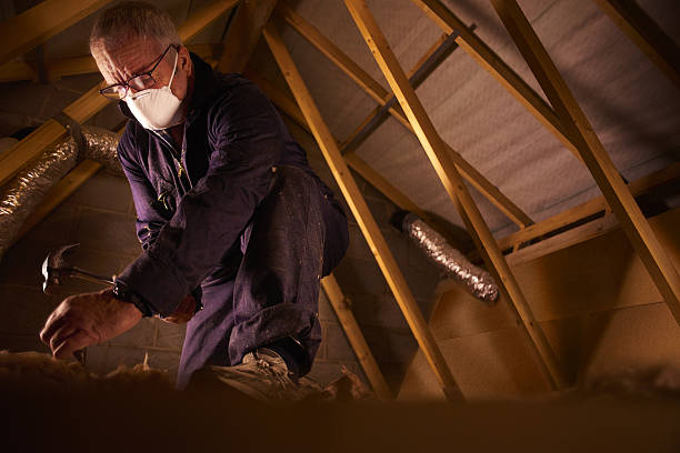 Best DIY Insulation Kits and Guidance in Forest, VA